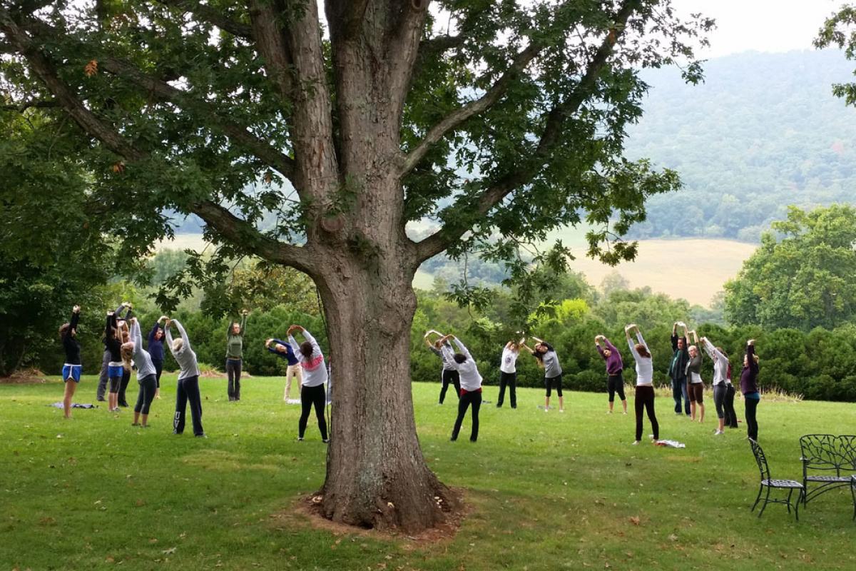 Nursing students practice yoga in a picturesque field.